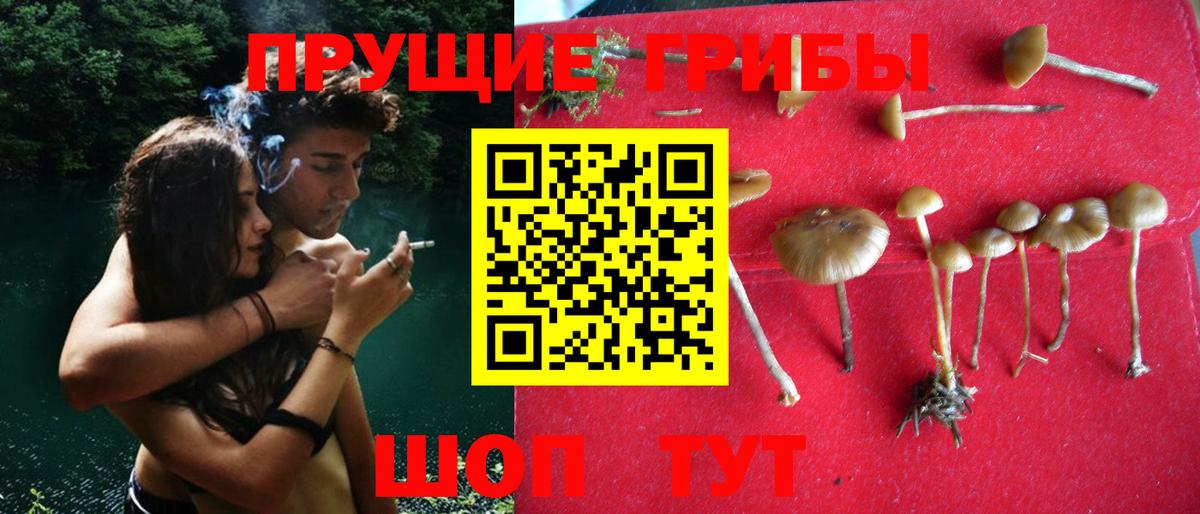 Псилоцибиновые грибы Cubensis  Вход с VPN  Галлюциногенные грибы прущие грибы  Новодвинск 