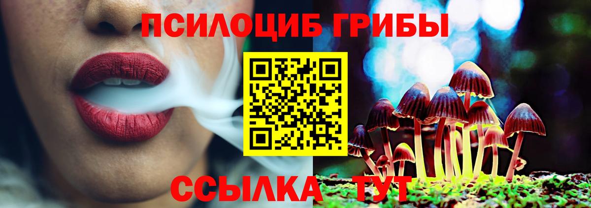 Псилоцибиновые грибы Magic Shrooms Новодвинск